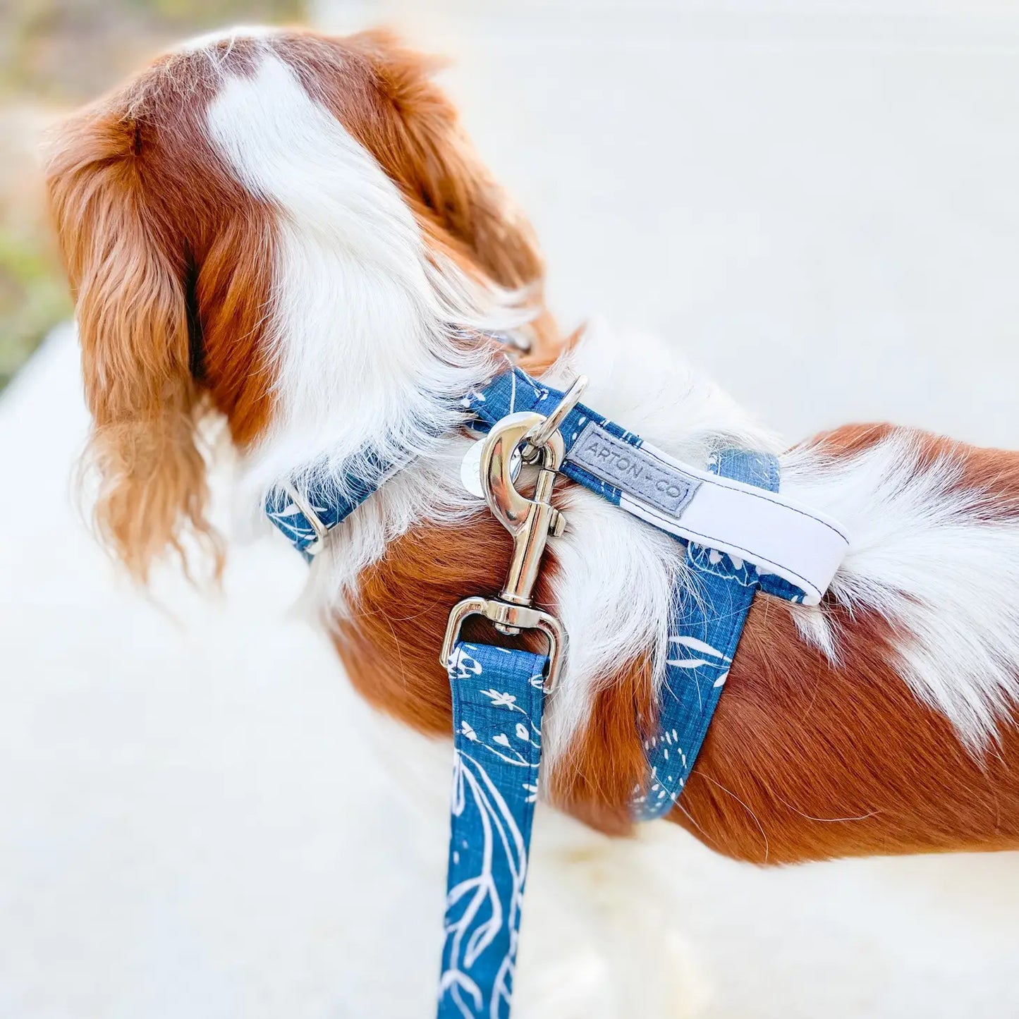 Arton + Co Lunar Moon Strap Dog Harness