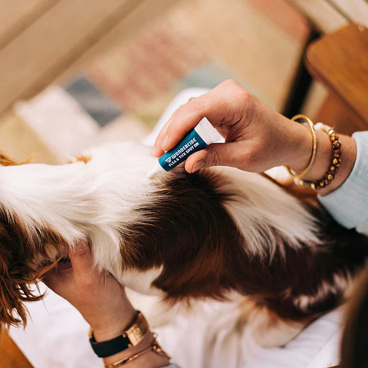 Wondercide Flea & Tick Spot On for Dogs Application