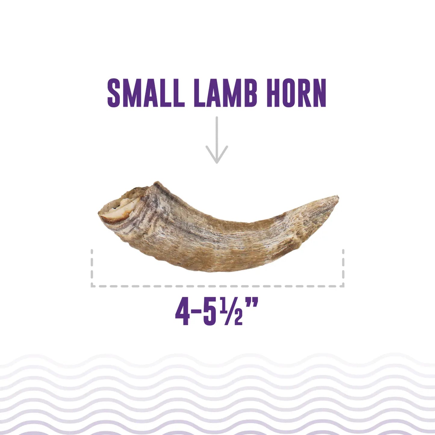 Lamb horns for dogs hotsell