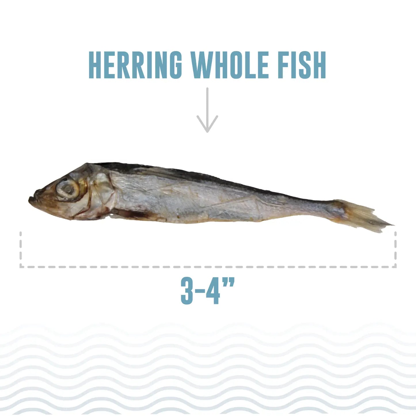 Icelandic+ Herring Whole Fish Cat or Dog Treats 1.5-oz Bag