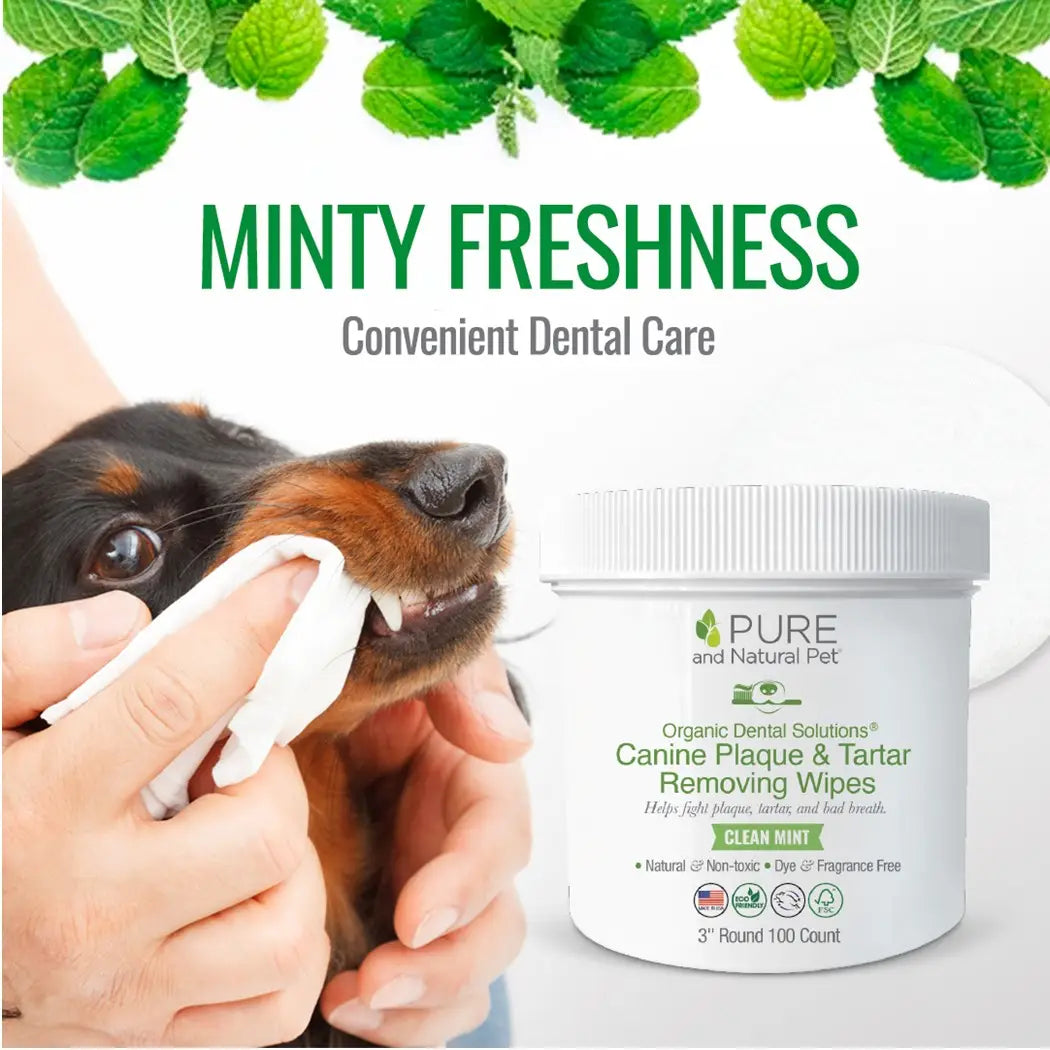 Pure and Natural Pet Organic Dental Solutions Canine Dental Wipes (Clean Mint)