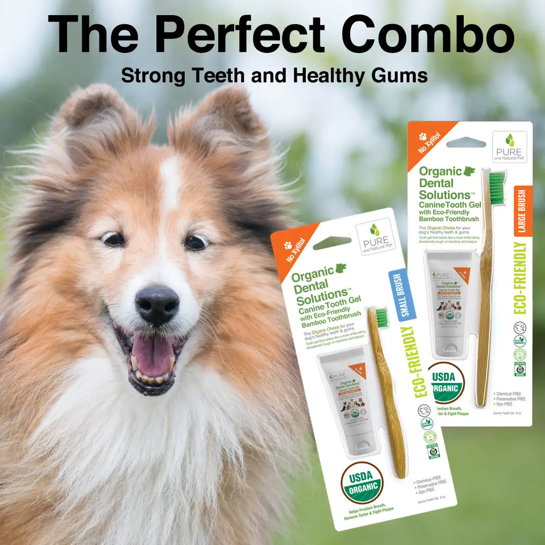 Pure and Natural Pet Organic Dental Solutions